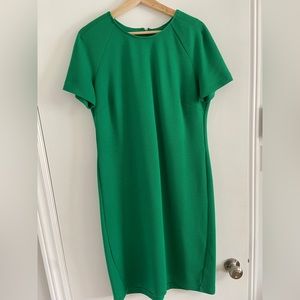Long Tall Sally jersey dress